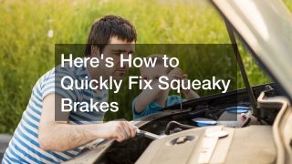 Heres How to Quickly Fix Squeaky Brakes