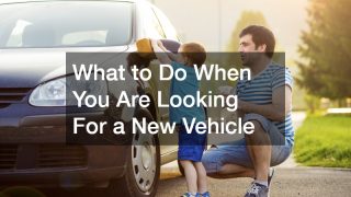 What to Do When You Are Looking For a New Vehicle